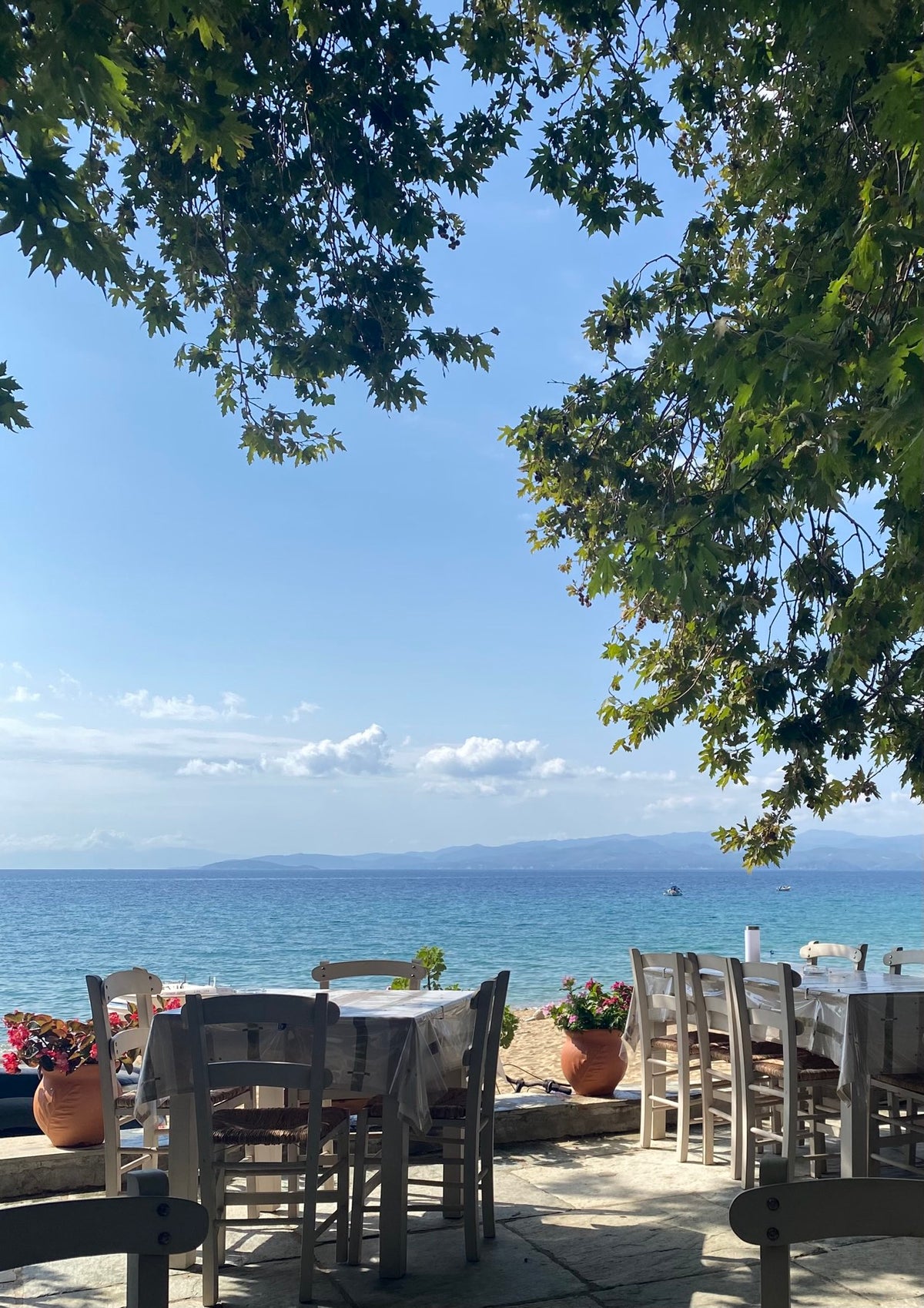 17.09 | Taste Greece